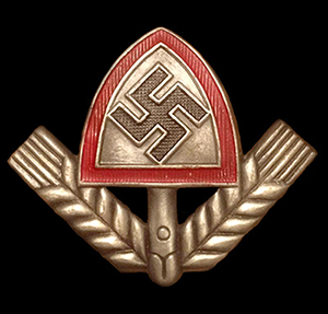 RAD cap Badge